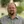 Andrew Howe, PhD