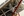 oregon-artist_05_ASP5043.jpeg