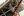oregon-artist_05_ASP5043.jpeg