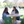 Two english graduate students in engaged discussion.