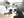 farming-returns_03_studentsinfreight.jpeg