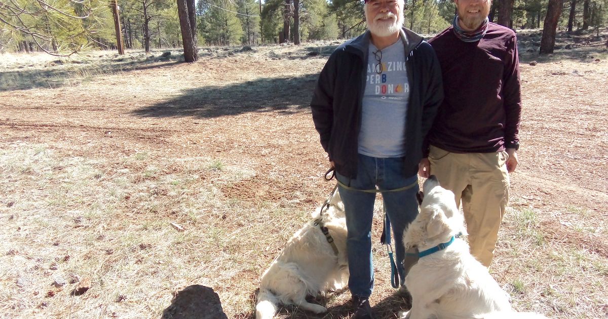 Stranded La Sierra writing instructor teaches from Arizona RV park - La ...