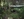 Home sweet home. The Cambodian jungle campsite where Dr. Grismer and colleagues encountered armed illegal loggers.