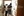 wmnh55 42 IMG 0447