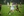 Madyson Cornish plays with the Golden Eagles women's soccer team in a game against Pacific Union College.