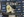 alumni-share-memories_11.jpg