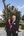 Sculptor Victor Issa poses with his wife in front of the bronze monument he created depicting the parable of the lost sheep. The artwork took more than two years to complete and is 33% larger than life size.