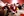 fight-against-hunger-event-01.jpg