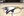 21_la-sierra-athletics-gets_upgrades_Gym_Floor-3.jpg