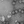 Freshman Nancy Kalaj discovered this new virus, or phage, which she named Annys. (Image: Arturo Diaz)