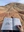 art-profs-artic-tern-08-tim-musso-sketching01.jpeg