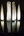 brandstater-gallery-opens-02.jpg