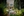 la-sierra-sets-enrollment-goals-03-la-sierra-univ-lasierrahall-copy.jpeg