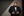 backus-lecture-speaker-02.jpeg