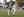 flag-football 10 RMR59538