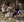 La Sierra University Golden Eagles women's basketball takes on Westminster College.