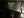 seeing_the_elephant_12.jpeg