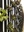 21_la-sierra-enactus-lands-seventh_farming-returns_00i_red_leaf_juvenile_plants.jpg