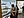 wmnh55 61 IMG 7617