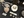 archaeologists_celebrate_31_IMG_3043.jpg