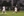 golden-eagles-land-first-national-01.jpg