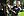 wmnh55 09 IMG 0311