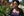 La Sierra University Master of Business Administration/marketing student Taneshia Farquharson.