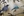 wmnh55 32 IMG 0414