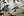 wmnh55 32 IMG 0414