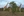 Giraffes and lions were among the wild animals the Hansbergers observed wandering the savannah.