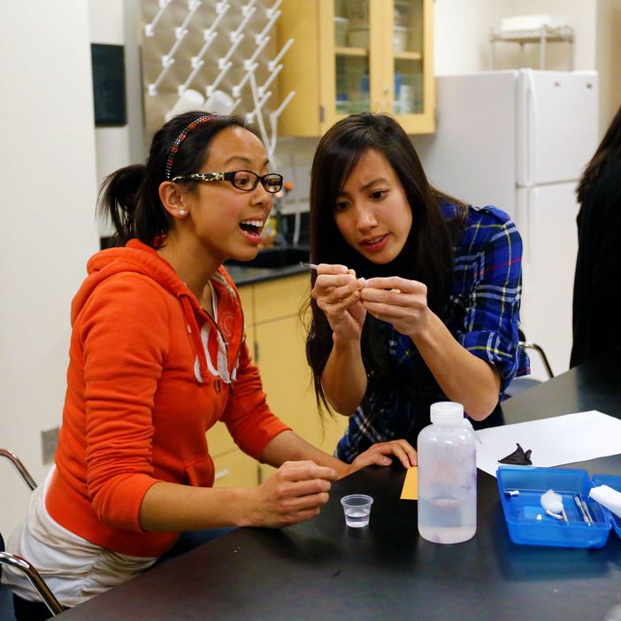 Summer Program Summer at La Sierra La Sierra University