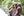 La Sierra University student Ashton Hardin, left, and her friends pause for a group selfie during an outing while participating in the ADRA Connections Extreme school construction project in the Amazon rainforest. (Photo: ADRA International)