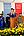 2026 LaSU Commencement Highlights-50
