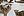 wmnh55 37 IMG 0431