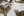 wmnh55 37 IMG 0431