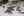 wmnh55 29 IMG 0405