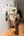 100_visit_Brandstater_visitor.JPG