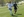 Brennen Chanty, Golden Eagles men's soccer defender, left, maneuvers past an opposing player.