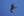A bird soars above the earth in Mongolia.