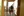 wmnh55 41 IMG 0446
