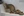 wmnh55 38 IMG 0433