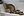 wmnh55 38 IMG 0433