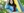 ExtendedSpringBreak_student_hammock__02.jpeg