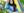 ExtendedSpringBreak_student_hammock__02.jpeg