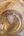 pivatol-octopus-ocean_04.jpg