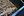 wmnh55 17 IMG 0345