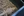 wmnh55 17 IMG 0345