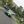 Several graduates' cars bearing the Jamaican flag as they caravan together through the celebration route.