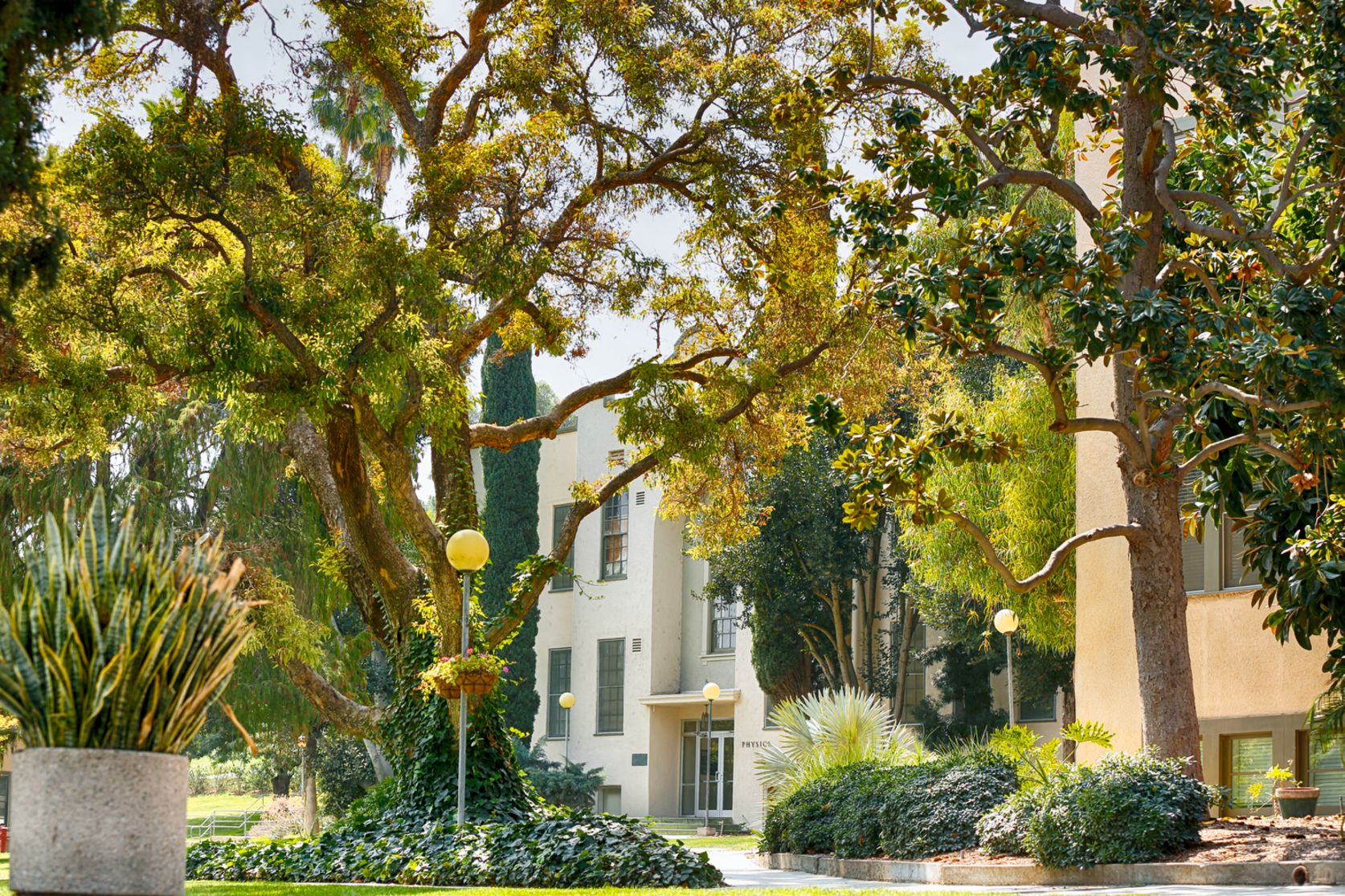 Area Information Visit La Sierra La Sierra University