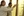 wmnh55 50 IMG 0477